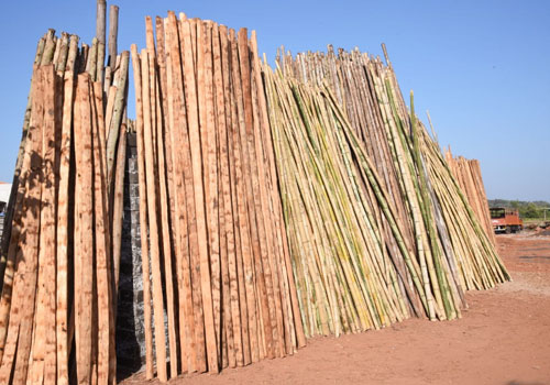 Centering Material Supplier in Bastora, Mapusa, Goa